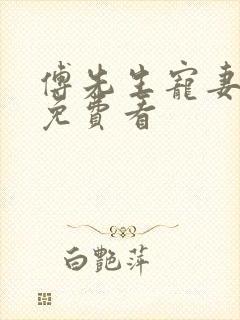 傅先生宠妻无度免费看封面