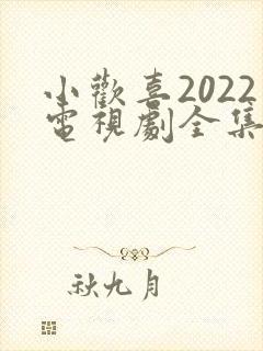 小欢喜2022电视剧全集免费封面
