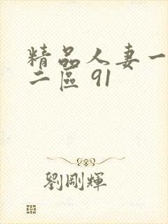 精品人妻一区一二区 91