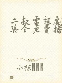 二叔电视剧40集全免费播放封面