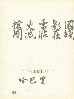 枪火电影国语未删减版在线播放封面