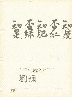 知否知否知否应是绿肥红瘦第17集封面