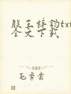 朕王梓钧txt全文下载