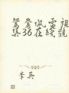 鸳鸯佩电视剧全集36在线观看