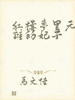 红楼梦里元春是谁的妃子封面