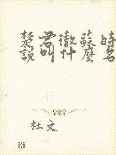 楚君彻苏时锦小说叫什么名字