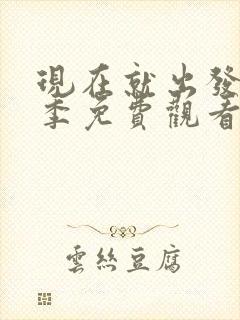 现在就出发第三季免费观看最新封面