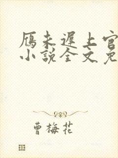 雁未迟上官穿越小说全文免费阅读封面