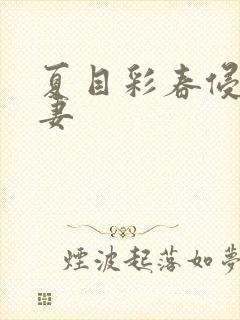 夏目彩春侵犯人妻