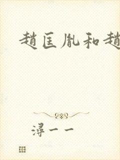 赵匡胤和赵匡义