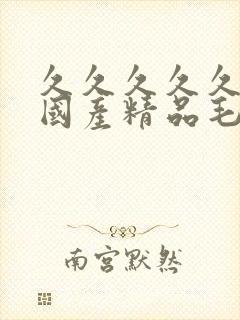 久久久久久久久国产精品毛片