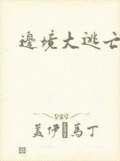 边境大逃亡封面
