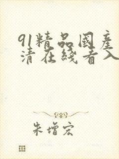 91精品国产高清在线看入口