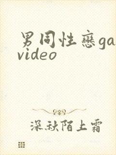 男同性恋gayvideo