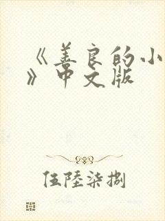 《善良的小[子》中文版封面