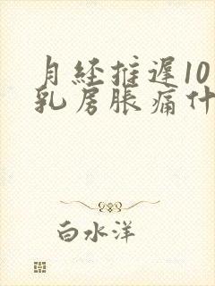 月经推迟10天乳房胀痛什么原因