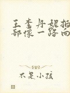 王李丹妮拍过几部像一路向西的电影