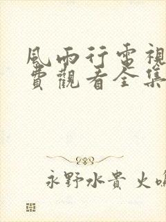 风雨行电视剧免费观看全集高清封面