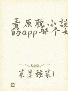 看原耽小说免费的app哪个好