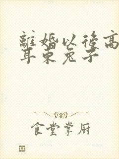 离婚以后高干 耳东兔子