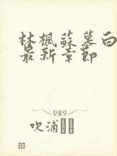 林枫苏慕白穿越最新章节