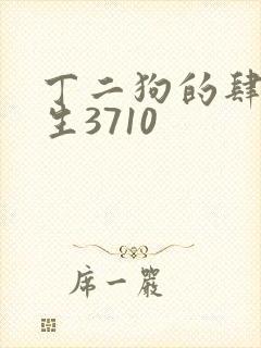 丁二狗的肆意人生3710