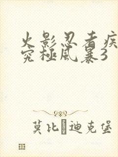 火影忍者疾风传究极风暴3