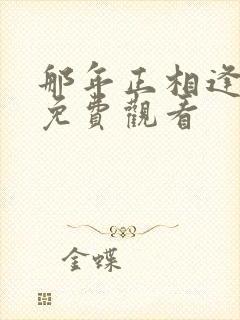 那年正相逢短剧免费观看