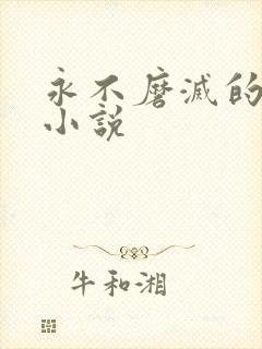 永不磨灭的番号小说