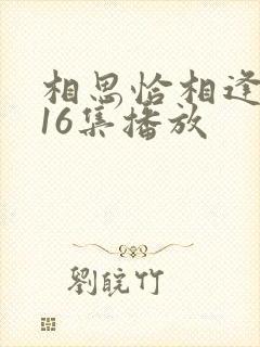 相思恰相逢短剧16集播放