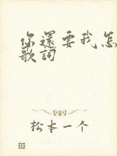 你还要我怎样 歌词封面