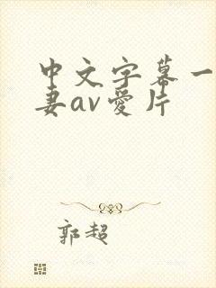 中文字幕一级人妻av爱片