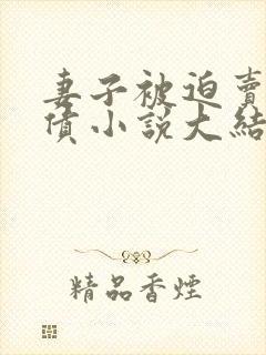 妻子被迫卖身还债小说大结局封面