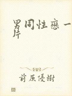 男同性恋一级黄片