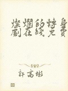 灿烂的转身电视剧在线免费观看