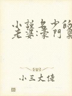 小说名少的神秘老婆:豪门枭宠aa制