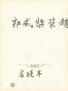 郭威柴荣赵匡胤