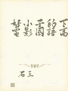 好小子的下一招电影国语高清