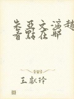 朱亚文演赵匡胤看点在哪封面