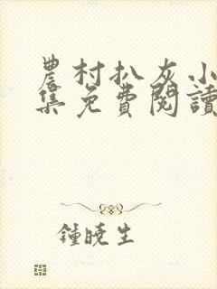 农村扒灰小说全集免费阅读