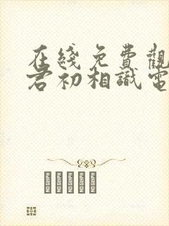 在线免费观看与君初相识电视剧封面