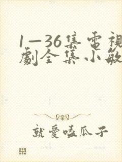 1—36集电视剧全集小敏家