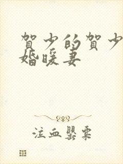 贺少的贺少的闪婚暖妻