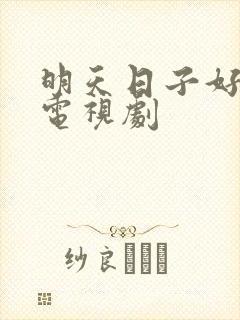 明天日子好好过电视剧封面