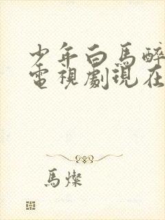 少年白马醉春风电视剧现在播放到几集