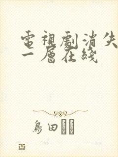 电视剧消失的十一层在线