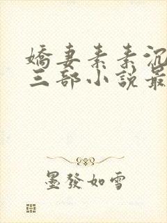 娇妻素素沉沦第三部小说最新章节封面