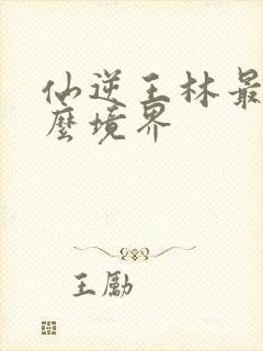 仙逆王林最后什么境界