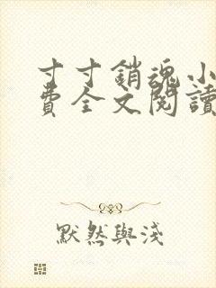 寸寸销魂小说免费全文阅读一