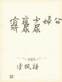 偷窥少妇公共厕所尿尿